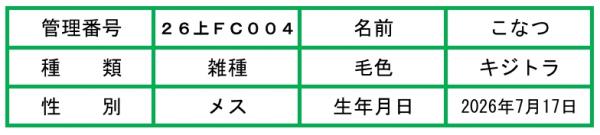 HP用説明文（26上FC004こなつ）