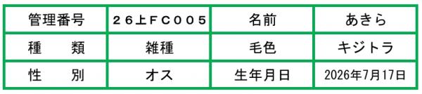 HP用説明文（26上FC005あきら）