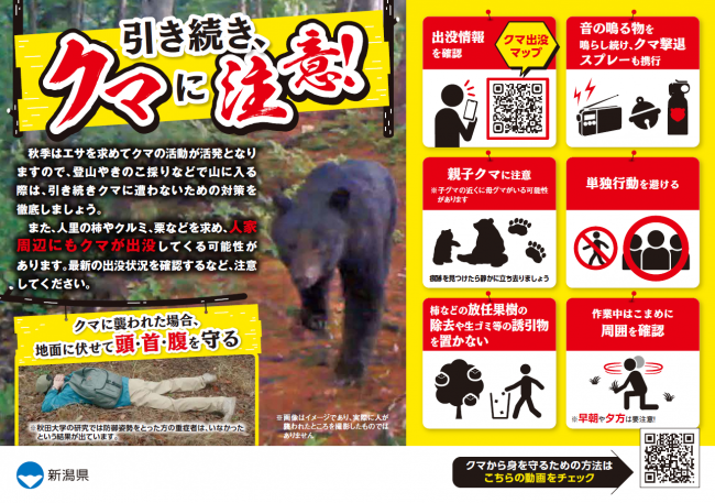 五泉・阿賀】クマによる人身被害に注意しましょう - 新潟県ホームページ