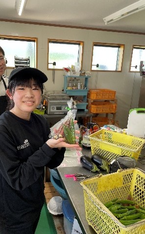 【収穫した野菜を直売所へ】