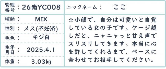 ここ３