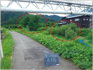 着手前