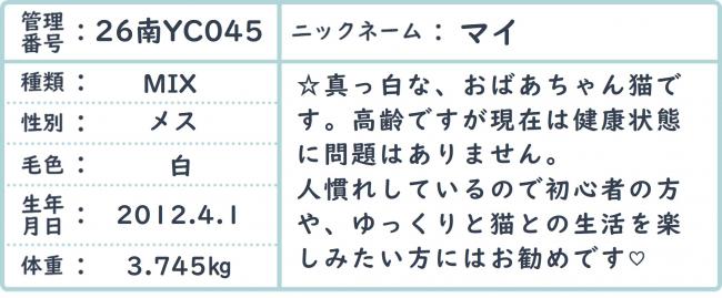 マイ