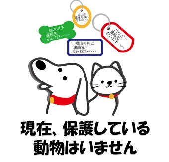 迷子いない