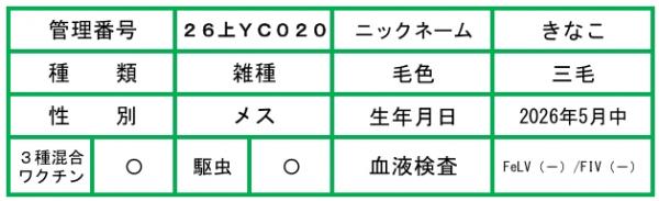 HP用説明文(26上YC020きなこ)