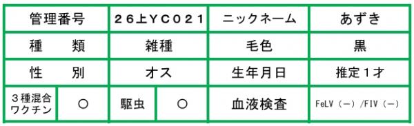 HP用説明文(26上YC021あずき)