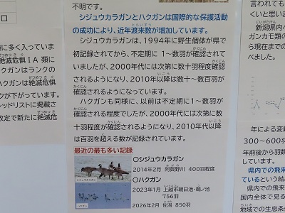 冬季特別展の画像
