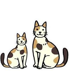 のらネコにエサをあげちゃいけないの画像