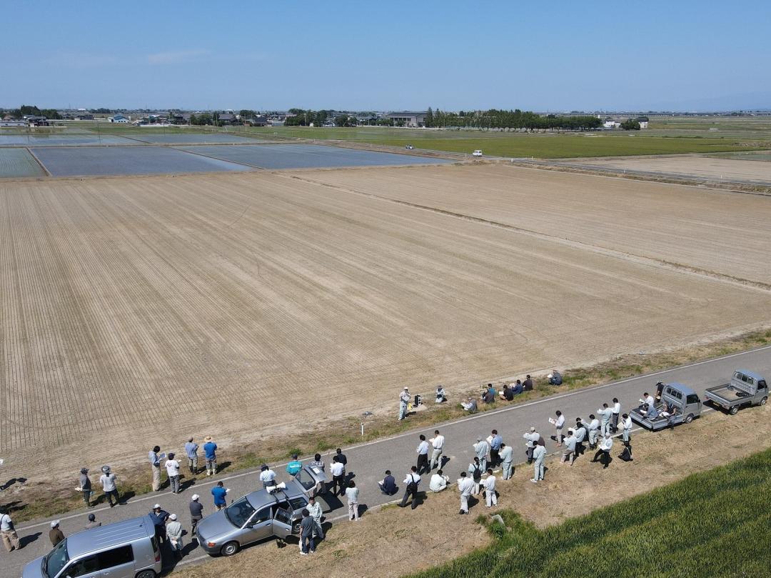 水稲V溝乾田直播栽培
