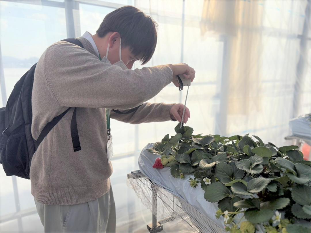 生育調査の様子