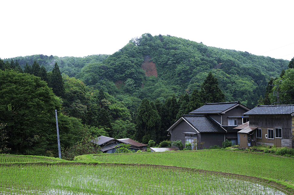 Toramaru-yamaの画像