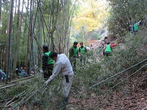現地ボランティアへの参加の画像