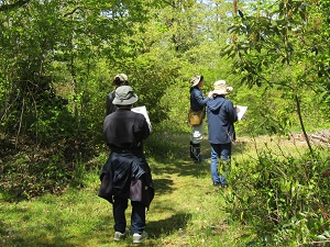 調査の様子の画像