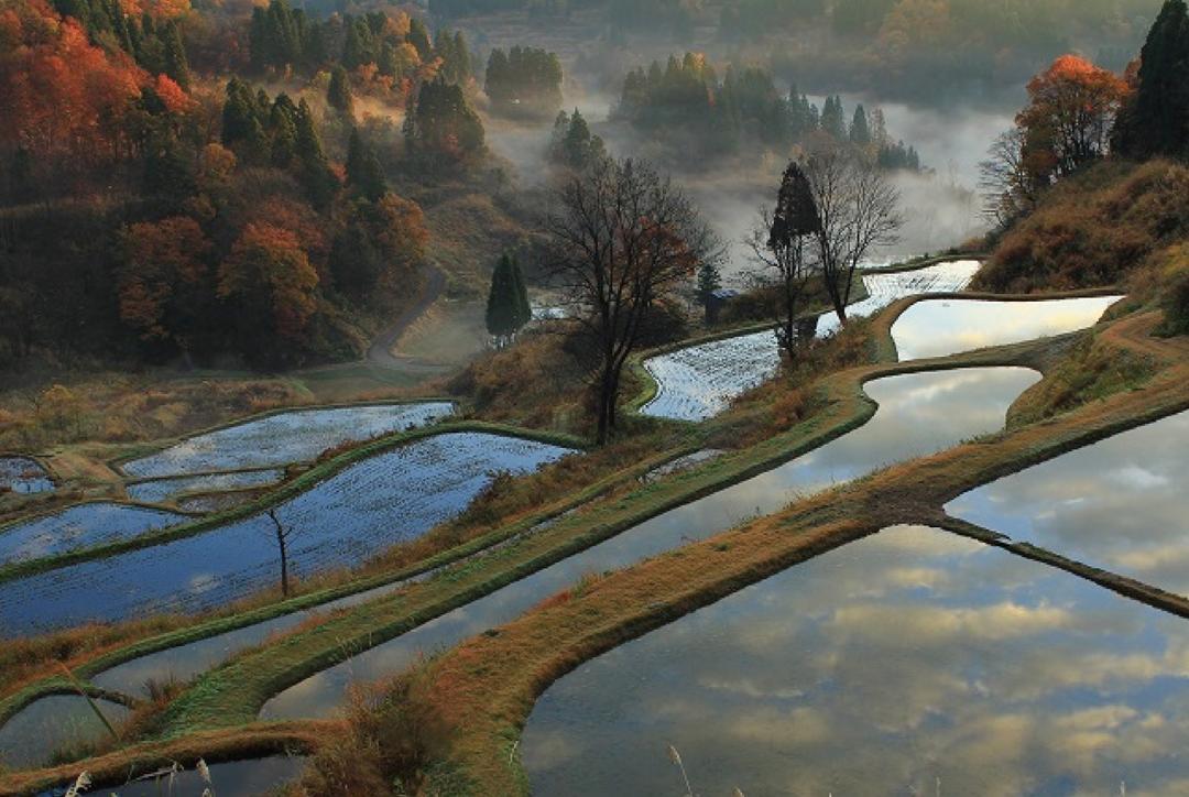 棚田画像