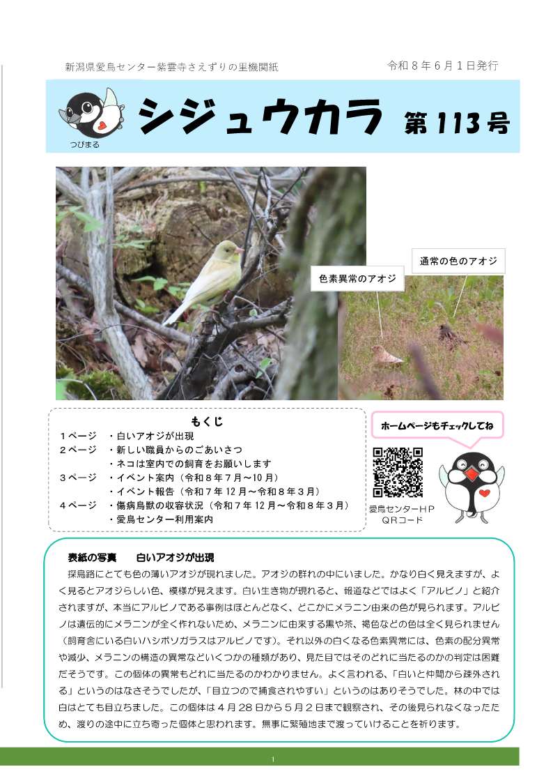 シジュウカラおもて