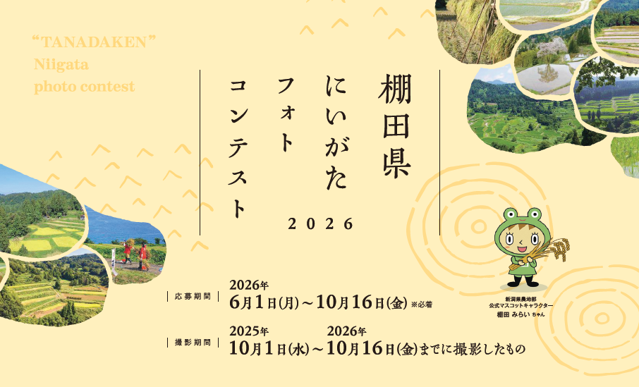 フォトコン