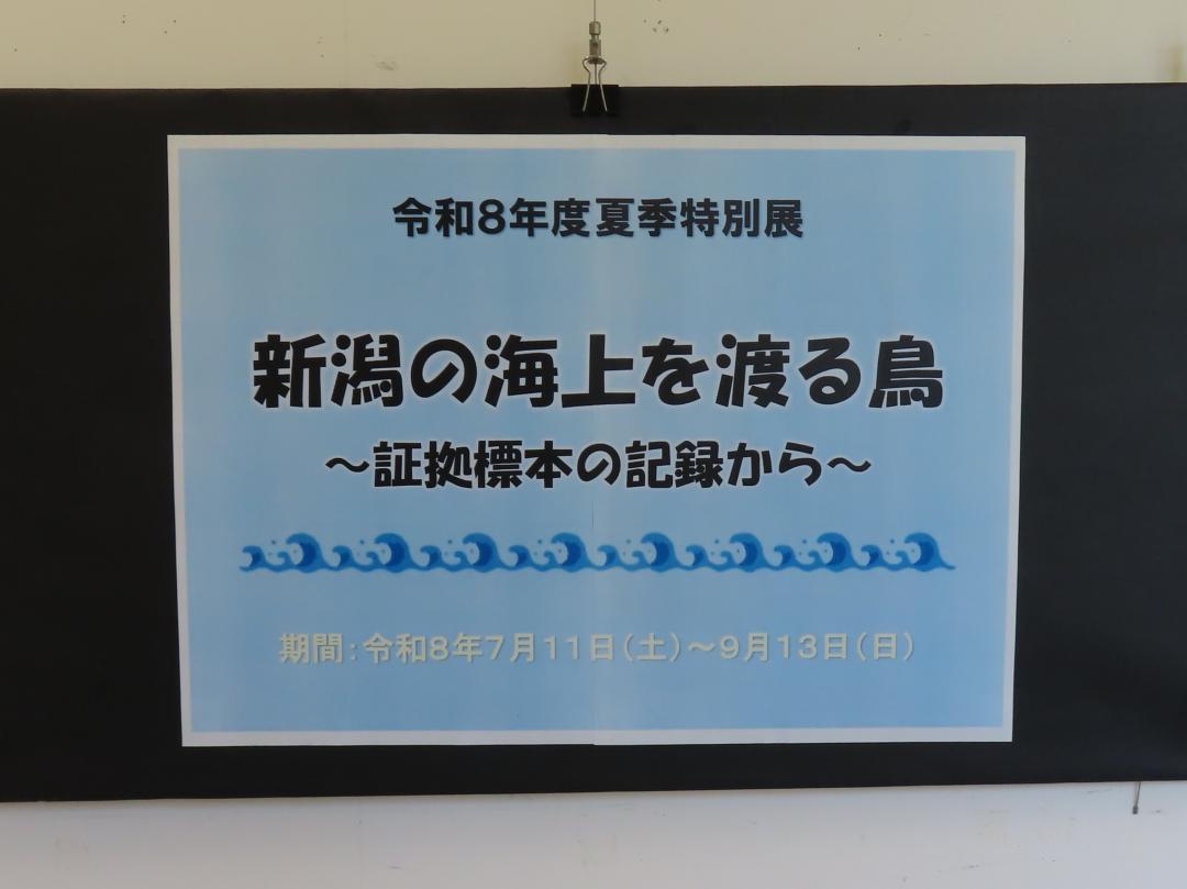 夏季特別展の画像1