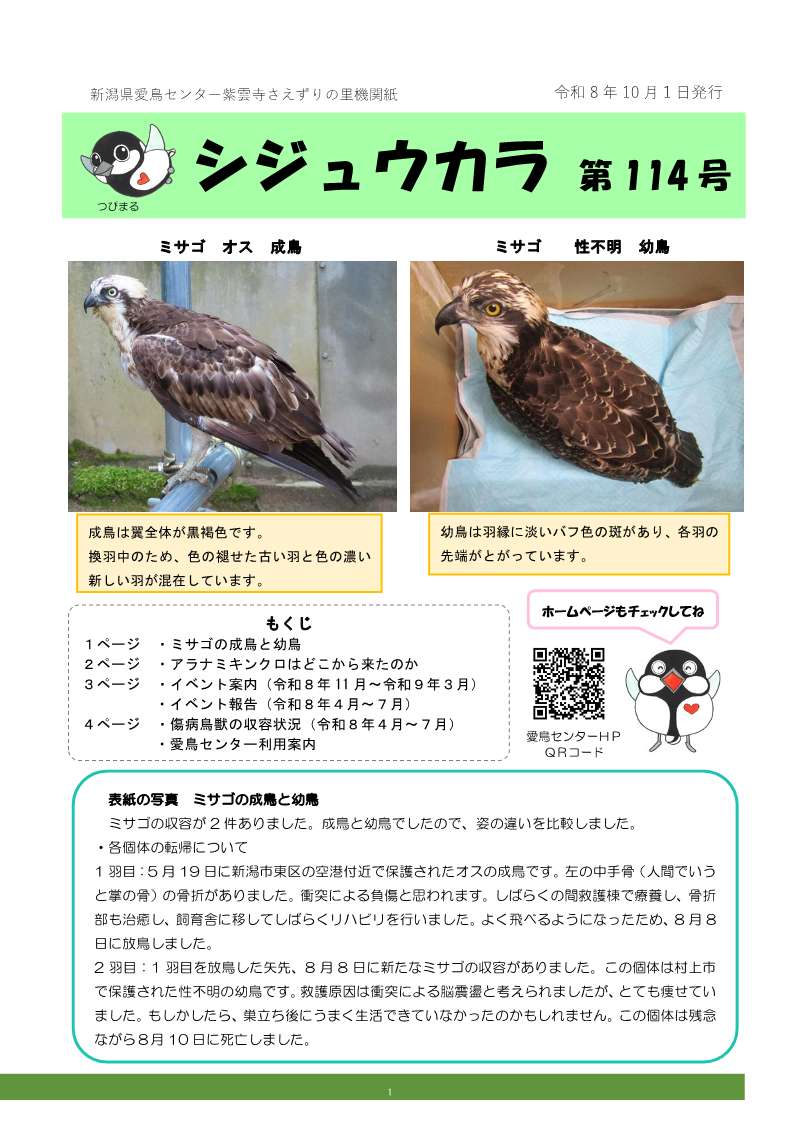 シジュウカラ114号表紙
