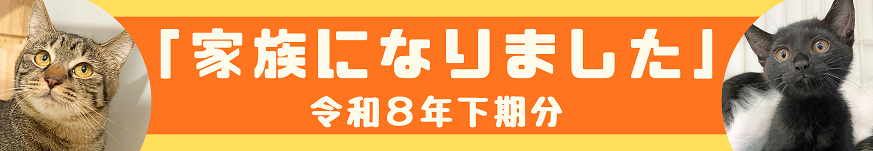 家族になりました