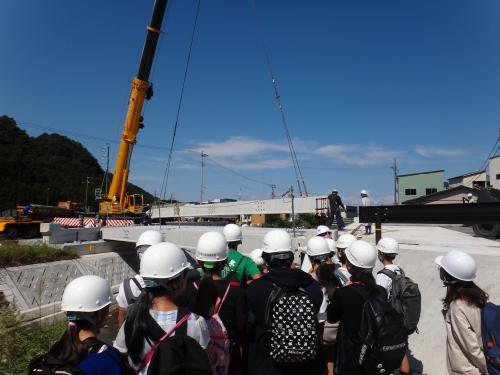 橋桁の架設見学