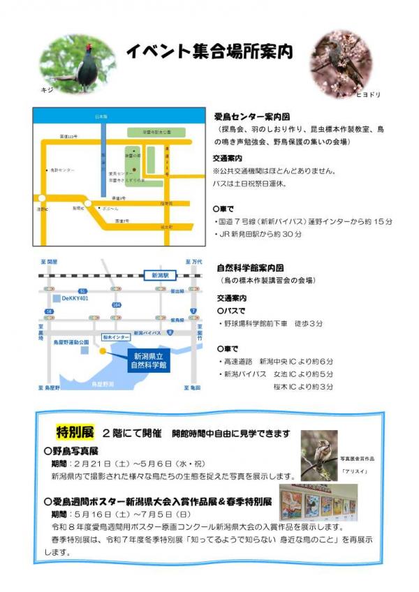 イベント情報裏