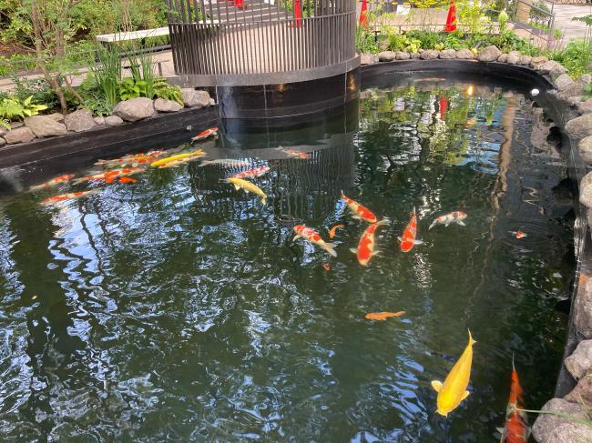 知事政策局 東京事務所