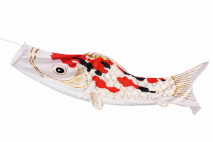 錦鯉鯉のぼりイメージ