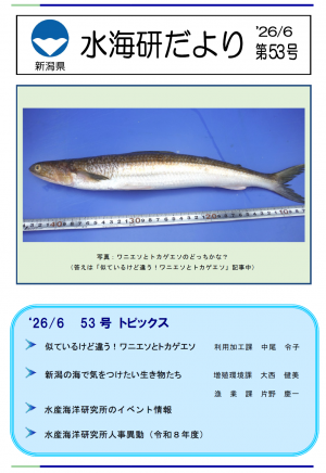 第53号水海研だよりを発行しました