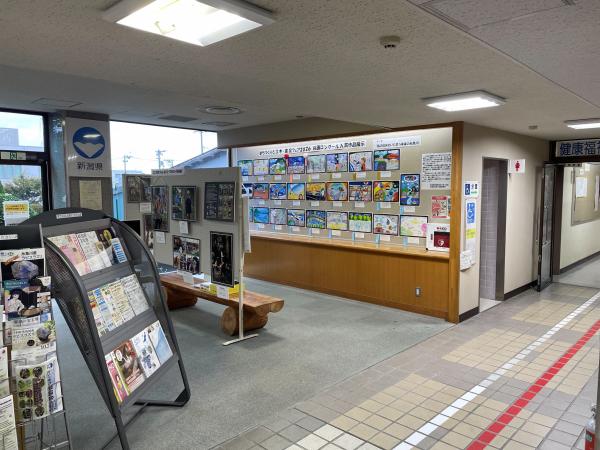 局展示1