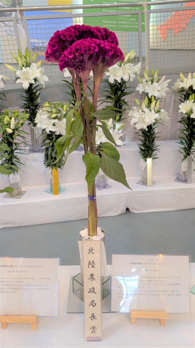 北陸農政局長賞