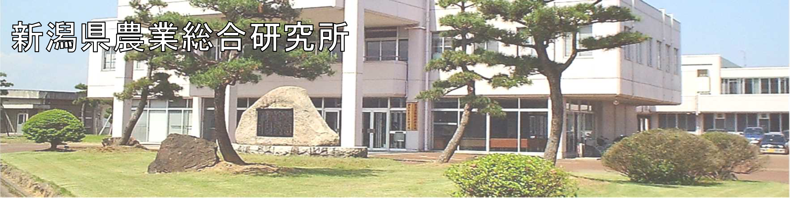 農業総合研究所